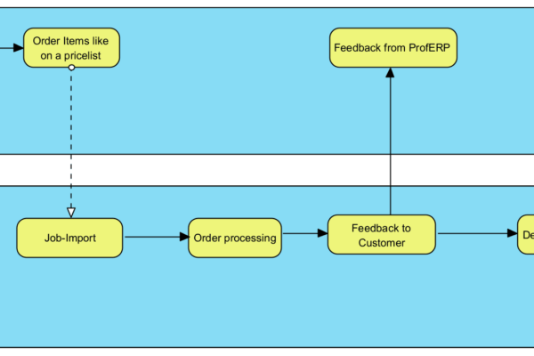 B2B Workflow zwischen Webshop und Professional ERP